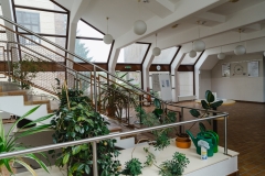 Aula